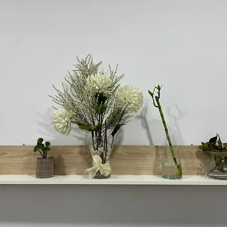 Rodmar Playa Grupo Ac Gestion Cadix